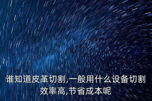 自動化皮革設備加工視頻,牛皮怎么做?這些工序必須知道