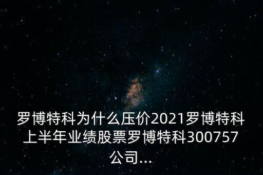羅博特科為什么壓價2021羅博特科上半年業(yè)績股票羅博特科300757公司...