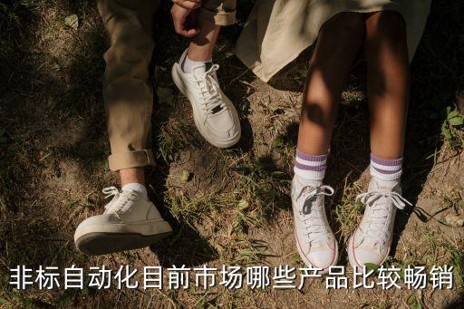 新疆非自動化設備,區(qū)別于非標自動化設備在哪里?
