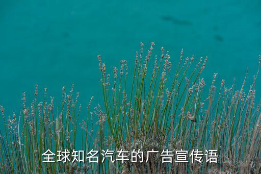 路寶汽車,汽車廣告語哈飛路寶怎么樣?