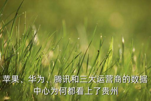 蘋(píng)果、華為、騰訊和三大運(yùn)營(yíng)商的數(shù)據(jù)中心為何都看上了貴州