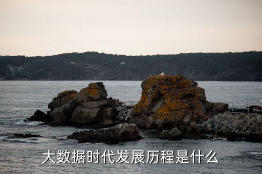 大數(shù)據(jù)時(shí)代發(fā)展歷程是什么