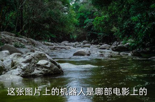 中關(guān)村 女孩 機器人,尋找關(guān)于機器人和人類愛情故事電視劇