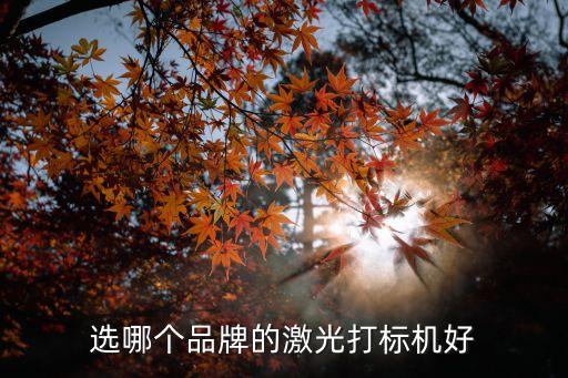 舟山自動(dòng)化打標(biāo)設(shè)備,一文看懂!半導(dǎo)體自動(dòng)化設(shè)備有哪些?