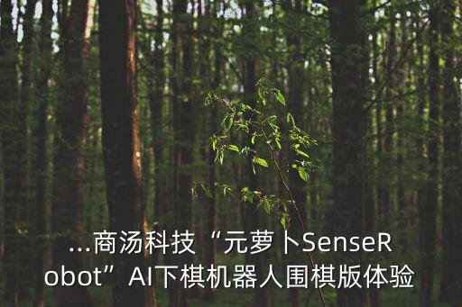 ...商湯科技“元蘿卜SenseRobot”AI下棋機器人圍棋版體驗