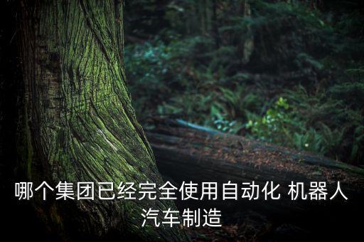 哪個(gè)集團(tuán)已經(jīng)完全使用自動(dòng)化 機(jī)器人汽車制造