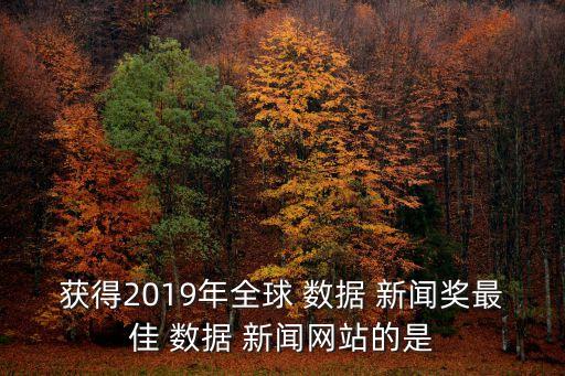 獲得2019年全球 數(shù)據(jù) 新聞獎(jiǎng)最佳 數(shù)據(jù) 新聞網(wǎng)站的是