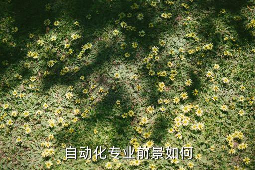 目前我國(guó)電氣自動(dòng)化發(fā)展
