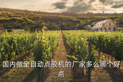 國內做全自動點膠機的廠家多么哪個好點