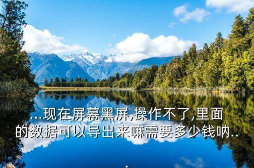 ...現(xiàn)在屏幕黑屏,操作不了,里面的數(shù)據(jù)可以導(dǎo)出來嘛需要多少錢吶...