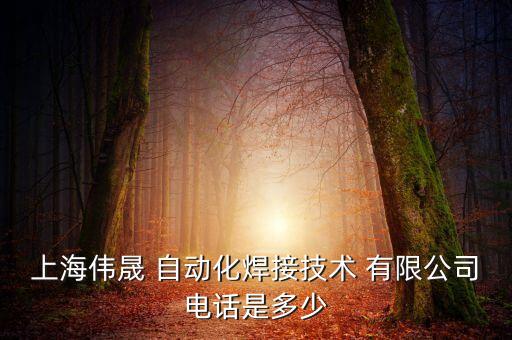 上海偉晟 自動(dòng)化焊接技術(shù) 有限公司電話是多少