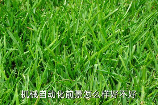 機(jī)械自動(dòng)化前景怎么樣好不好