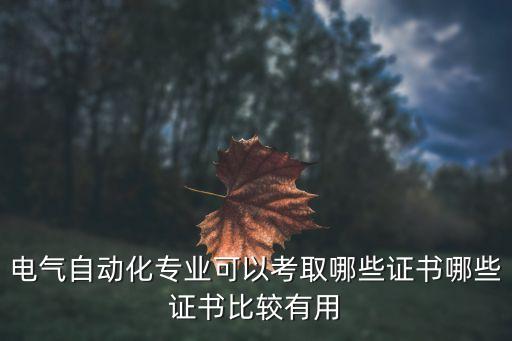 電氣自動(dòng)化專業(yè)可以考取哪些證書(shū)哪些證書(shū)比較有用