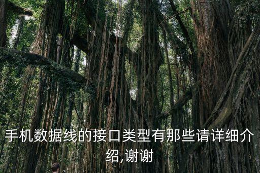 數(shù)據(jù)線充電插口叫什么區(qū)別,手機(jī)充電線和數(shù)據(jù)線有何區(qū)別?