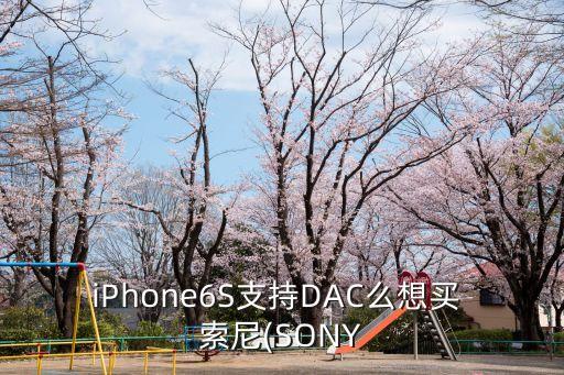 索尼1a dac 原裝數(shù)據(jù)線