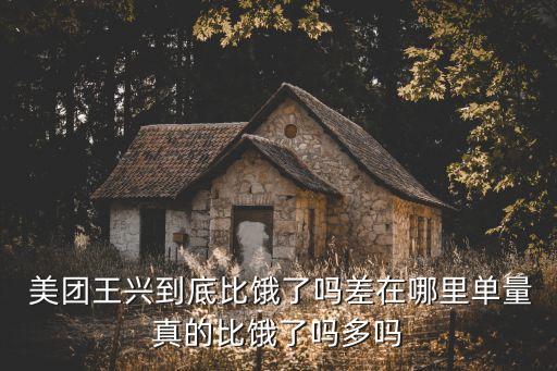 美團(tuán) 大數(shù)據(jù)總監(jiān),美團(tuán)一個(gè)總監(jiān)年薪多少