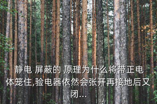  靜電 屏蔽的 原理為什么將帶正電體籠住,驗電器依然會張開再接地后又閉...