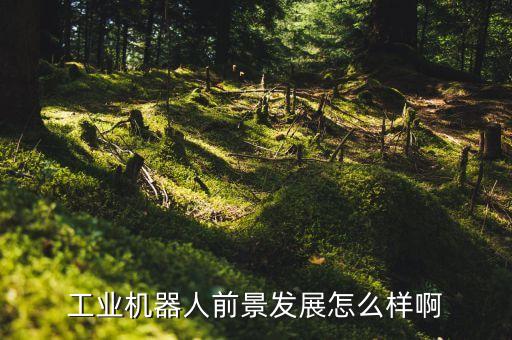 工業(yè)機(jī)器人前景發(fā)展怎么樣啊
