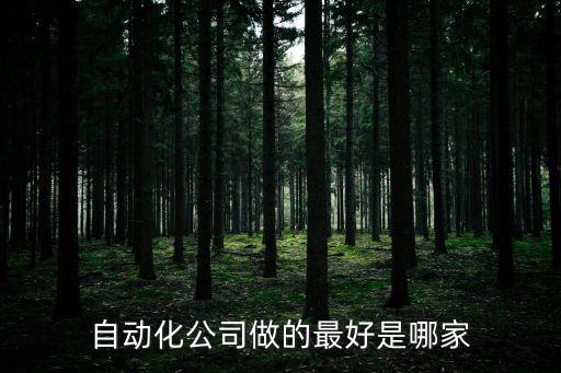 自動化公司做的最好是哪家
