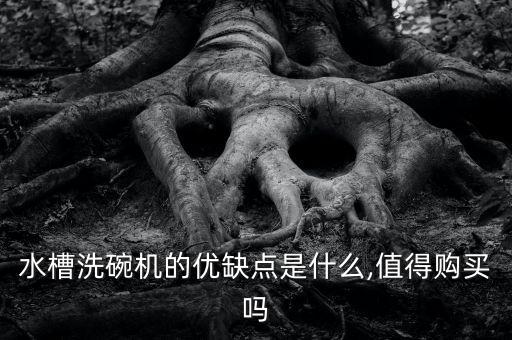 水槽洗碗機(jī)的優(yōu)缺點(diǎn)是什么,值得購買嗎