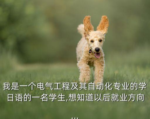 我是一個電氣工程及其自動化專業(yè)的學(xué)日語的一名學(xué)生,想知道以后就業(yè)方向...