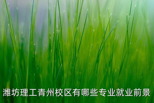 濰坊理工青州校區(qū)有哪些專(zhuān)業(yè)就業(yè)前景