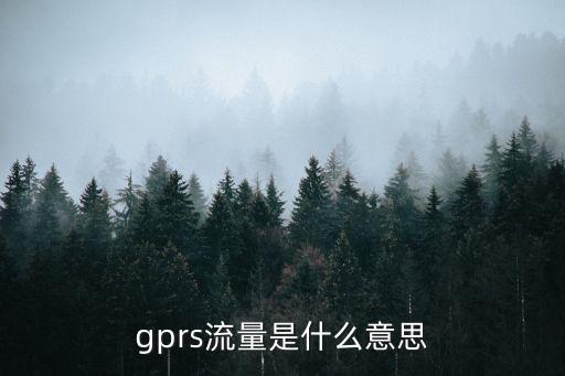 gprs流量是什么意思