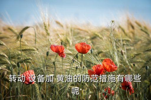 轉(zhuǎn)動(dòng) 設(shè)備加 黃油的防范措施有哪些呢