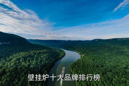 安徽自動化燃?xì)鉅t設(shè)備制造