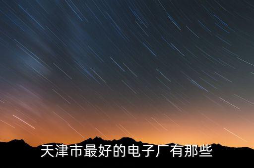 天津市最好的電子廠有那些
