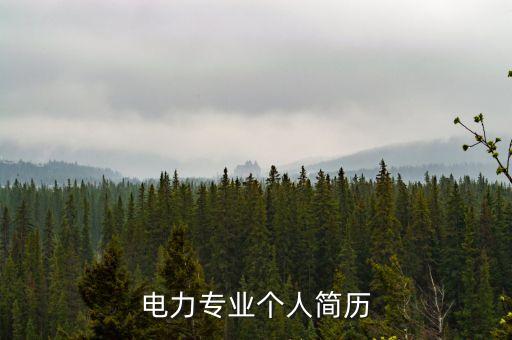 電力專(zhuān)業(yè)個(gè)人簡(jiǎn)歷