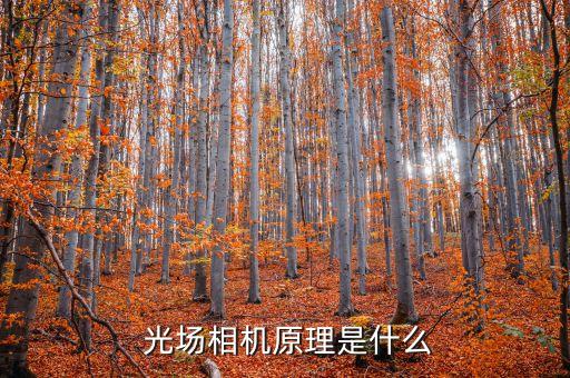 光場,廣場舞視頻大全