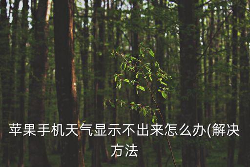 蘋果手機(jī)天氣顯示不出來(lái)怎么辦(解決方法