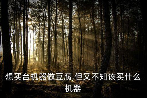 豆腐花自動(dòng)化設(shè)備,全自動(dòng)干豆腐機(jī)生產(chǎn)廠家推薦給你!