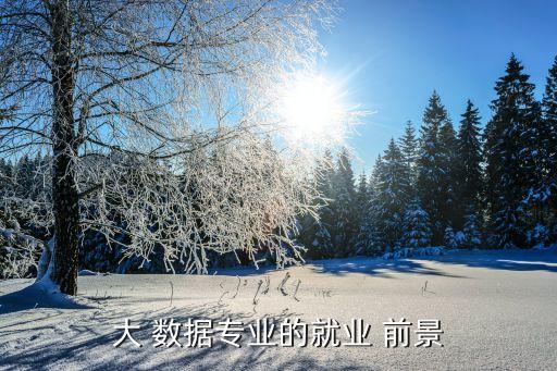 大數(shù)據(jù)開發(fā)前景,計算機前端開發(fā)前景