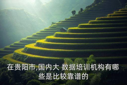 在貴陽(yáng)市,國(guó)內(nèi)大 數(shù)據(jù)培訓(xùn)機(jī)構(gòu)有哪些是比較靠譜的