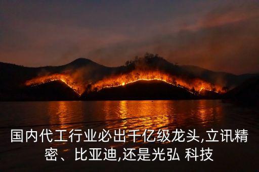 國內(nèi)代工行業(yè)必出千億級龍頭,立訊精密、比亞迪,還是光弘 科技