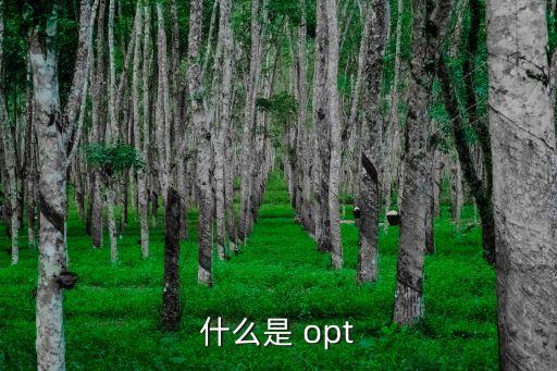 opt,這些東西要如何安全使用