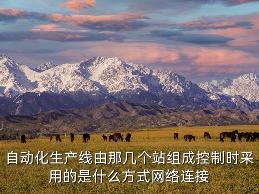 自動化生產(chǎn)線由那幾個站組成控制時采用的是什么方式網(wǎng)絡(luò)連接