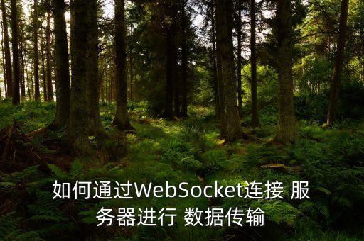 服務器下發(fā)數據,怎么修改服務器數據