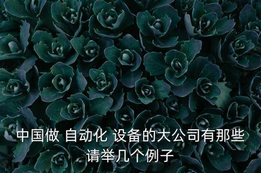 中國(guó)做 自動(dòng)化 設(shè)備的大公司有那些請(qǐng)舉幾個(gè)例子
