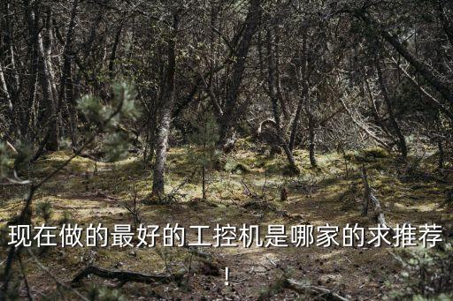 現(xiàn)在做的最好的工控機(jī)是哪家的求推薦!