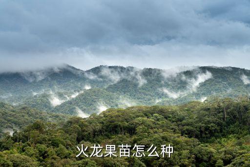 火龍果種植自動(dòng)化設(shè)備,火龍果怎么種?大棚栽培新技術(shù)