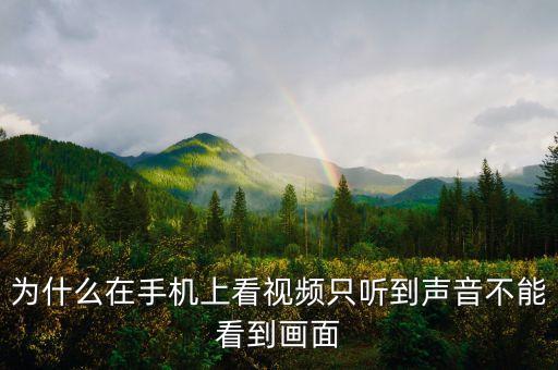 手機(jī)僅播放音頻數(shù)據(jù),手機(jī)用什么播放器能播放dts音頻?