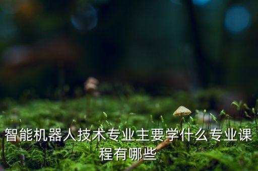 智能機器人技術(shù)專業(yè)主要學什么專業(yè)課程有哪些