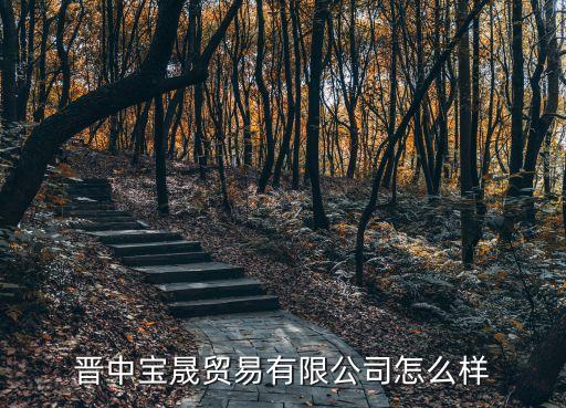 晉中寶晟貿易有限公司怎么樣
