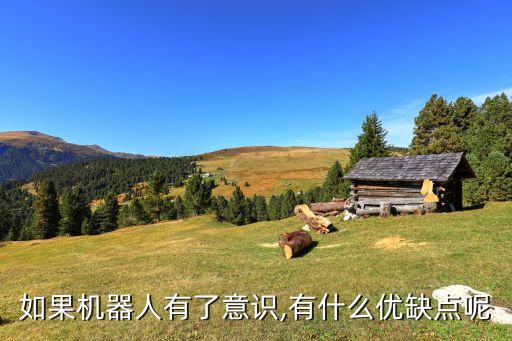 如果機(jī)器人有了意識(shí),有什么優(yōu)缺點(diǎn)呢