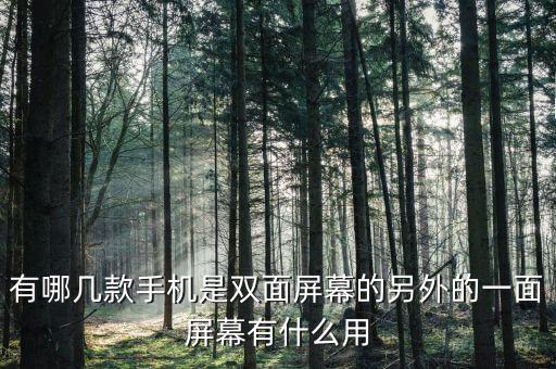 有哪幾款手機(jī)是雙面屏幕的另外的一面屏幕有什么用