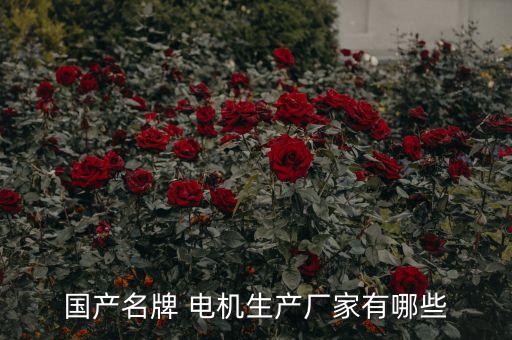 國(guó)產(chǎn)名牌 電機(jī)生產(chǎn)廠家有哪些