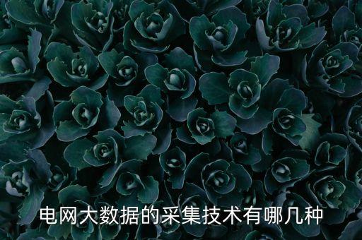 采集系統(tǒng),電網(wǎng)大數(shù)據(jù)采集技術(shù)有哪幾種?